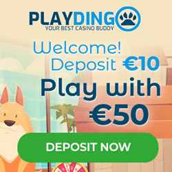 PlayDingo Casino Promotion