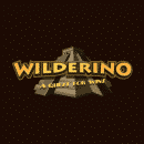Head to the online casino Wilderino and enter a race for €1000